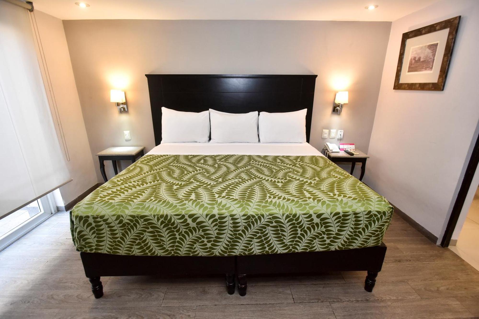 Plaza Camelinas Hotel Querétaro Eksteriør billede